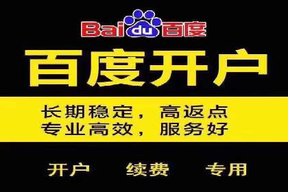 SEM代理服务：案例对比，效果哪家更胜一筹